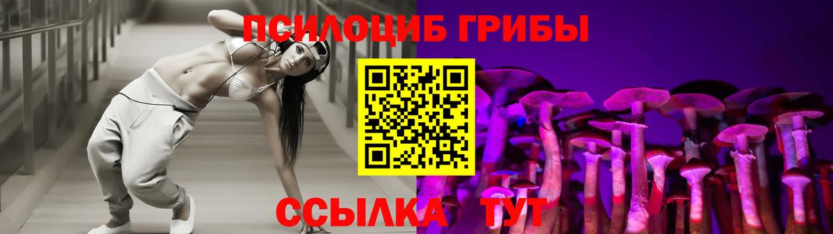 Галлюциногенные грибы MAGIC MUSHROOMS  Вход с VPN  Большой Камень 
